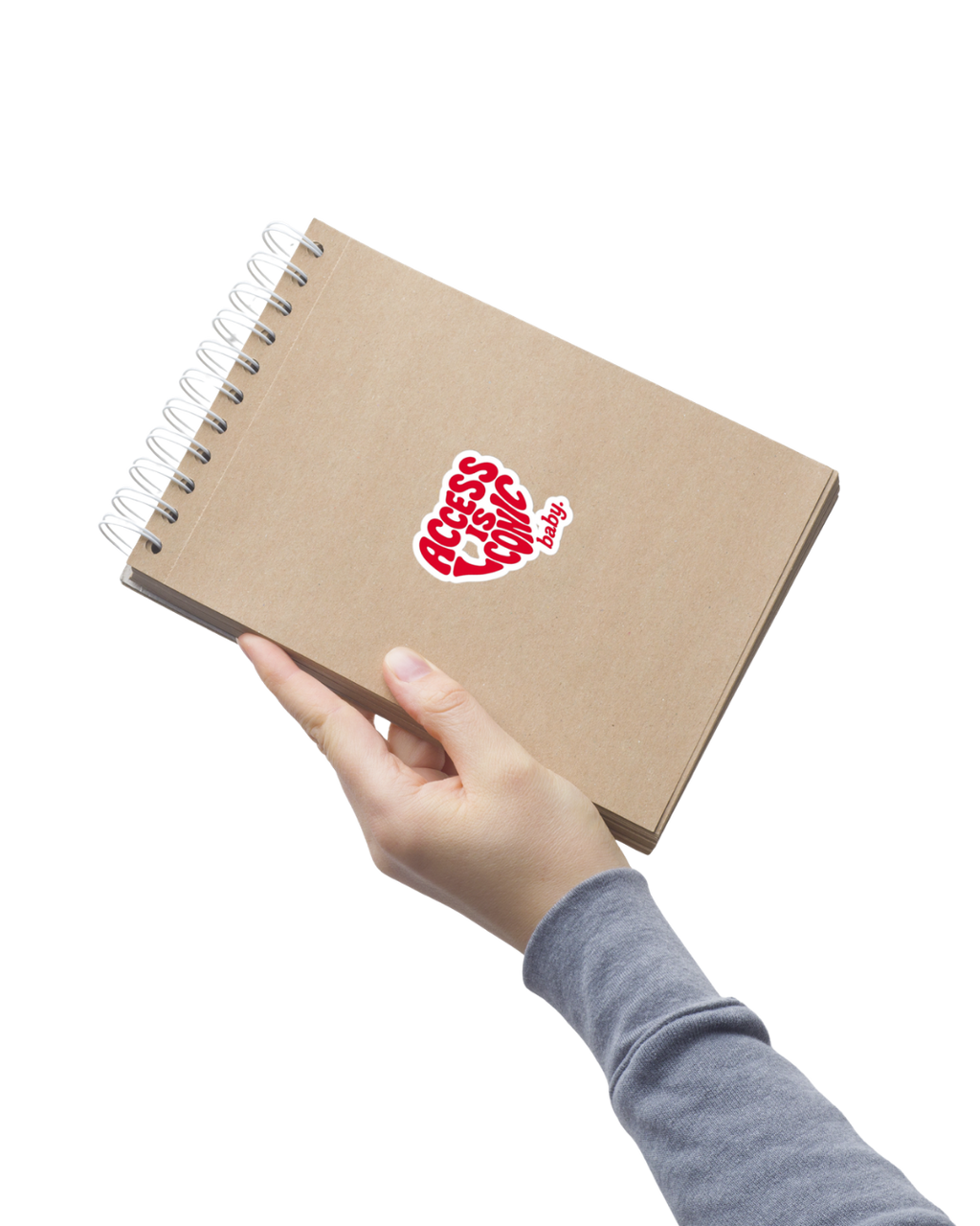 Access is Iconic Baby Sticker