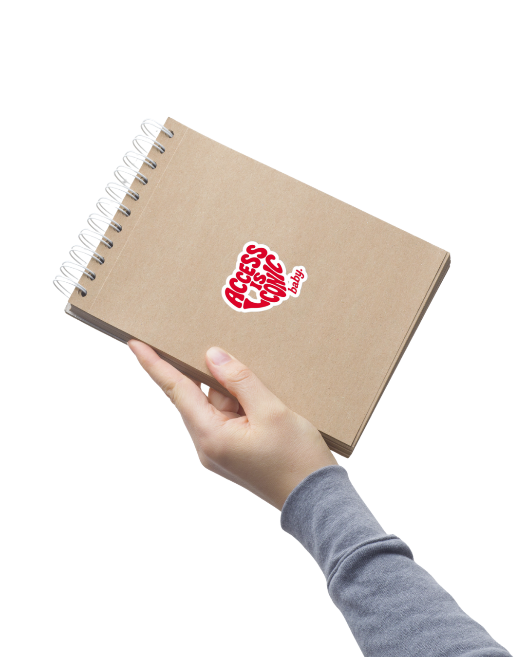 Access is Iconic Baby Sticker