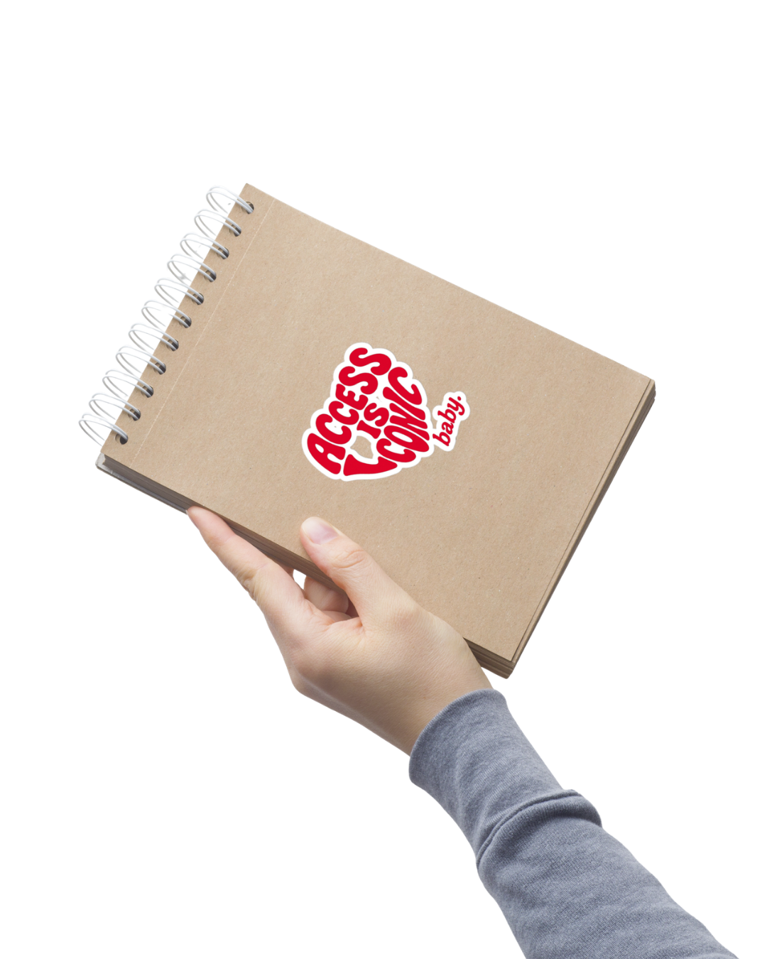 Access is Iconic Baby Sticker